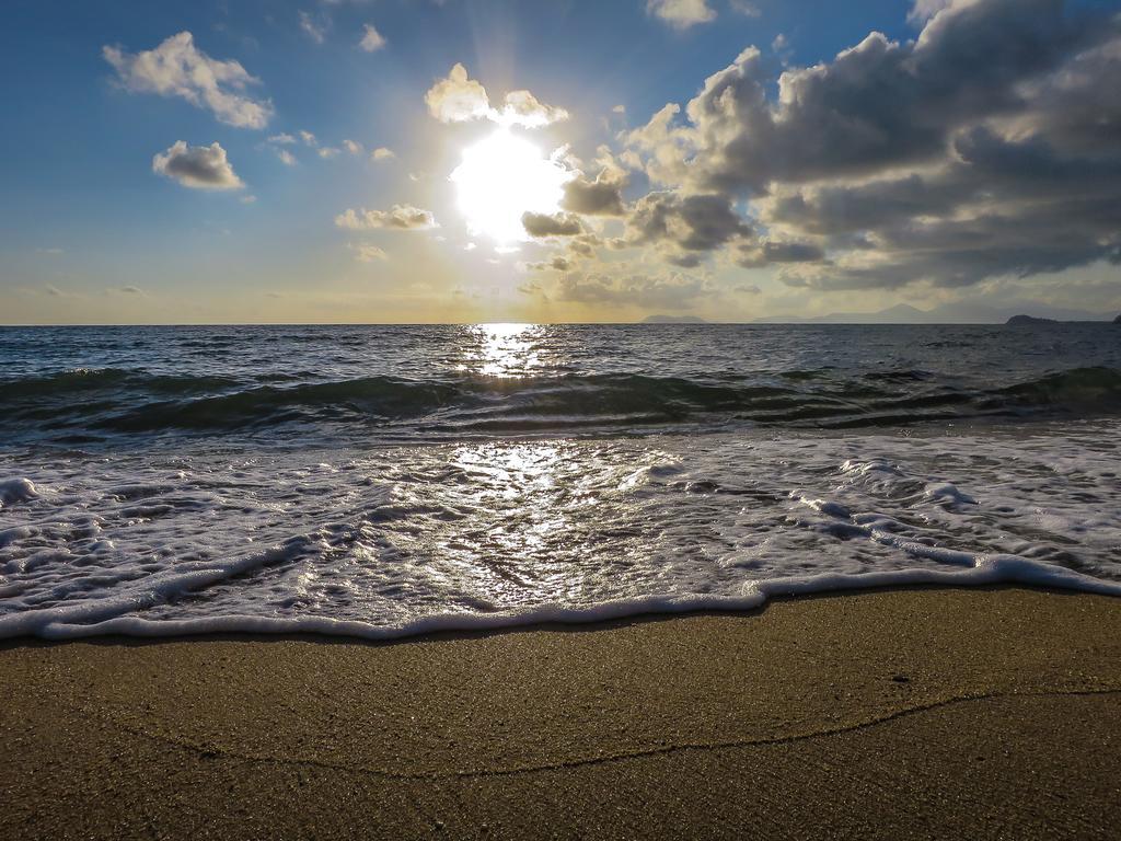 Cairns Beaches Flashpackers Palm Cove Exteriör bild