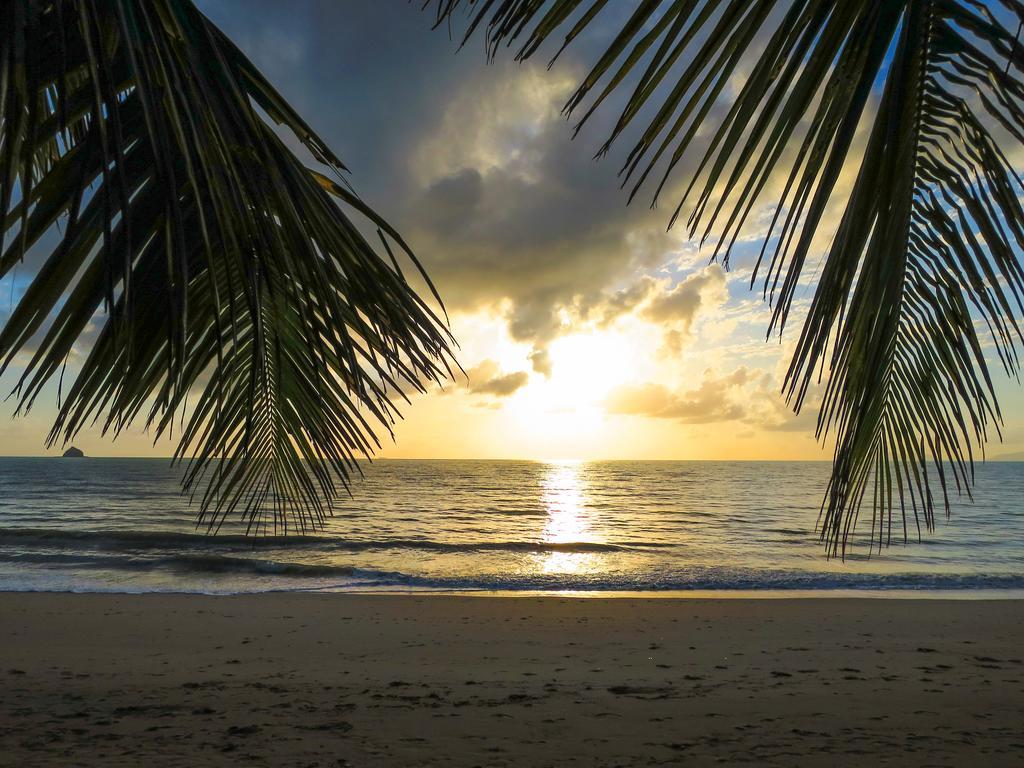 Cairns Beaches Flashpackers Palm Cove Exteriör bild