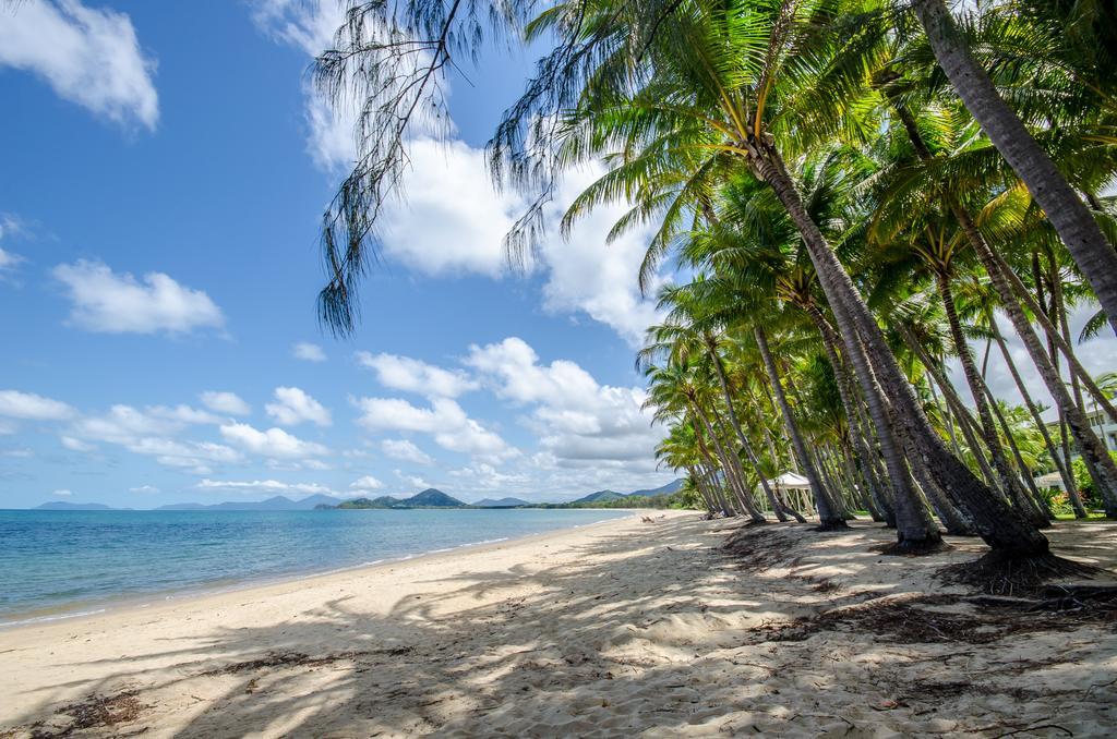Cairns Beaches Flashpackers Palm Cove Exteriör bild