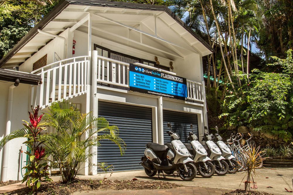 Cairns Beaches Flashpackers Palm Cove Exteriör bild